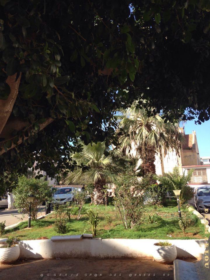 ORAN HOPITAL CIVIL (3).jpg